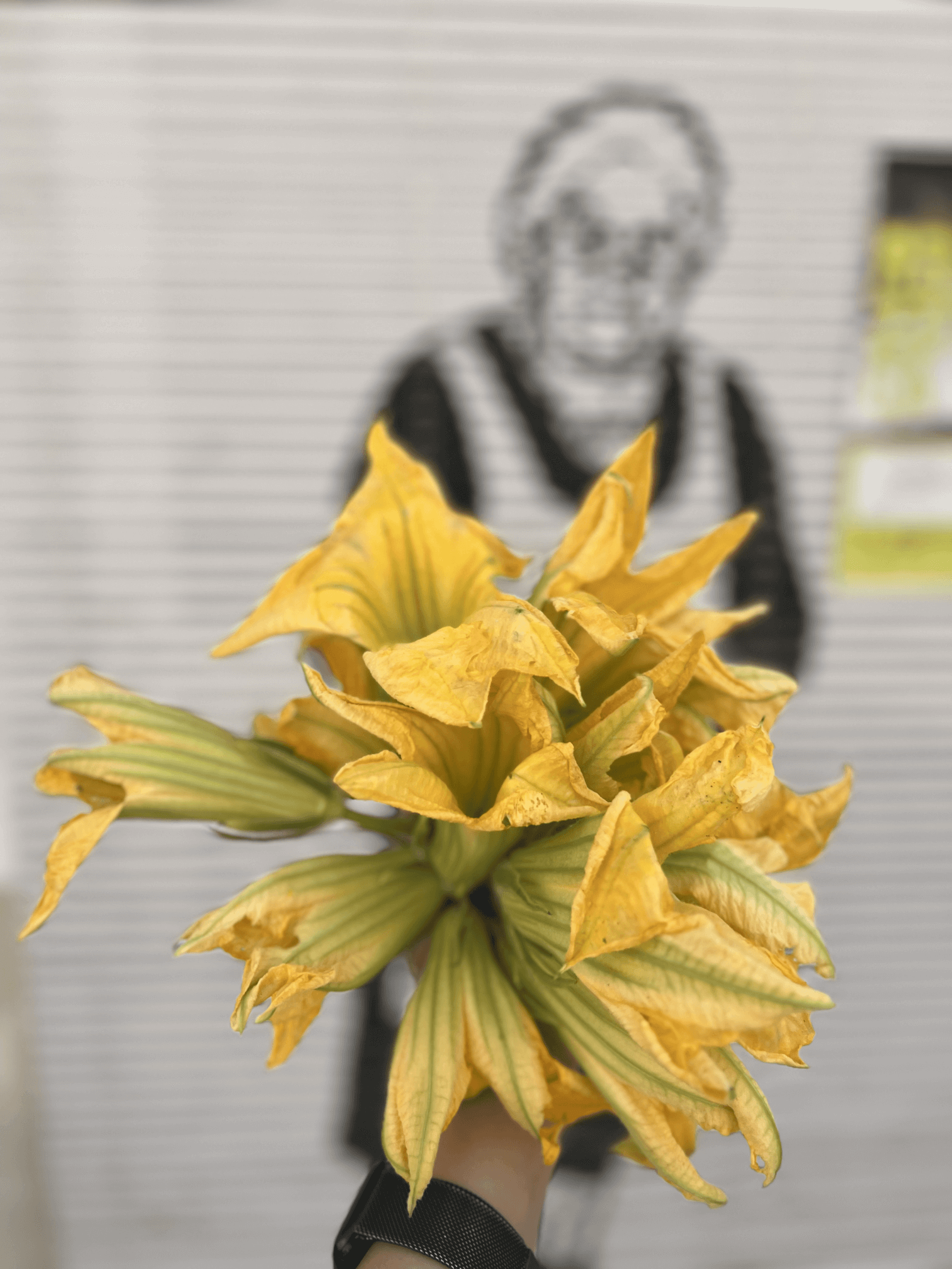 La Locanda di Nonna Mena - Zero-kilometer cuisine - Flowers